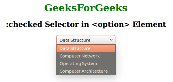 css-checked-selector